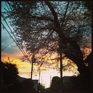 (untitled)