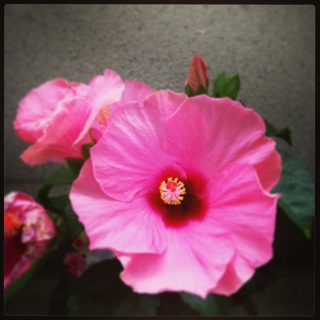 (untitled)